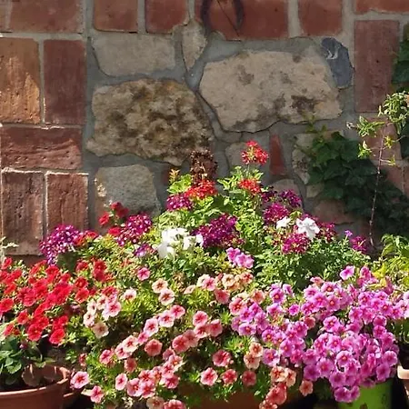 Nerium House Relax Bed & Breakfast