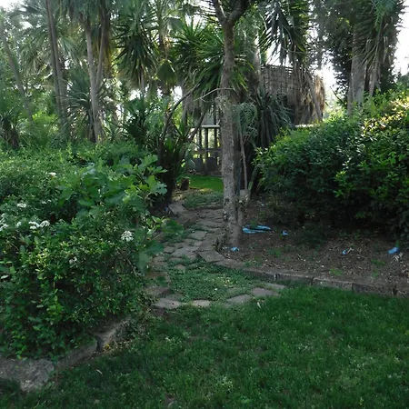 Nerium House Relax Bed and Breakfast *