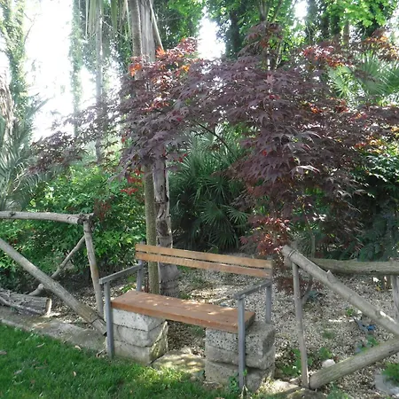 Nocleg ze śniadaniem Nerium House Relax *