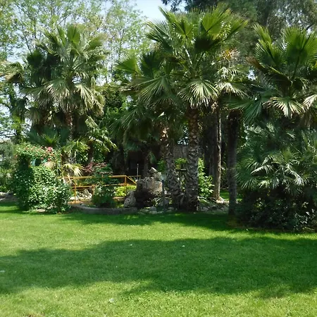 Nerium House Relax Nocleg ze śniadaniem Amorosi